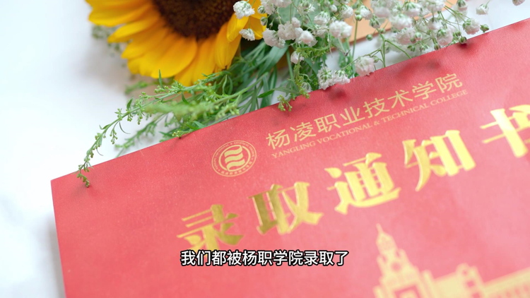 (yu)㮅I(y)|ψŬһA(mng)ͨ^2024пԇɹϰ