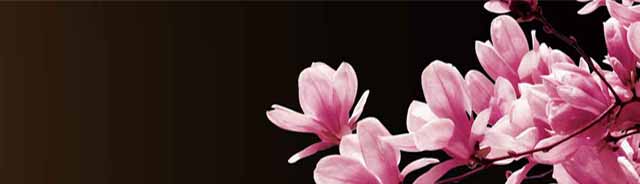 ؑcСӖ(xn),ؑcС,ؑcСӖ(xn)n,Ӗ(xn)ؑcС