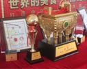ĳЮI(y)_ʼСС(qing)Ĳͬ