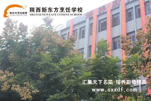 |W(xu)У—NW(xu)Уc(din)W(xu)УˌW(xu)У͌W(xu)У