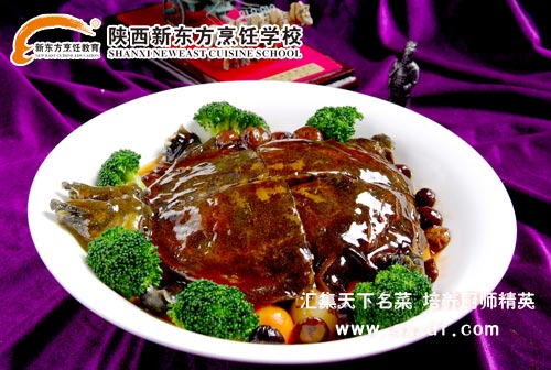 Ʒ——t~(y)