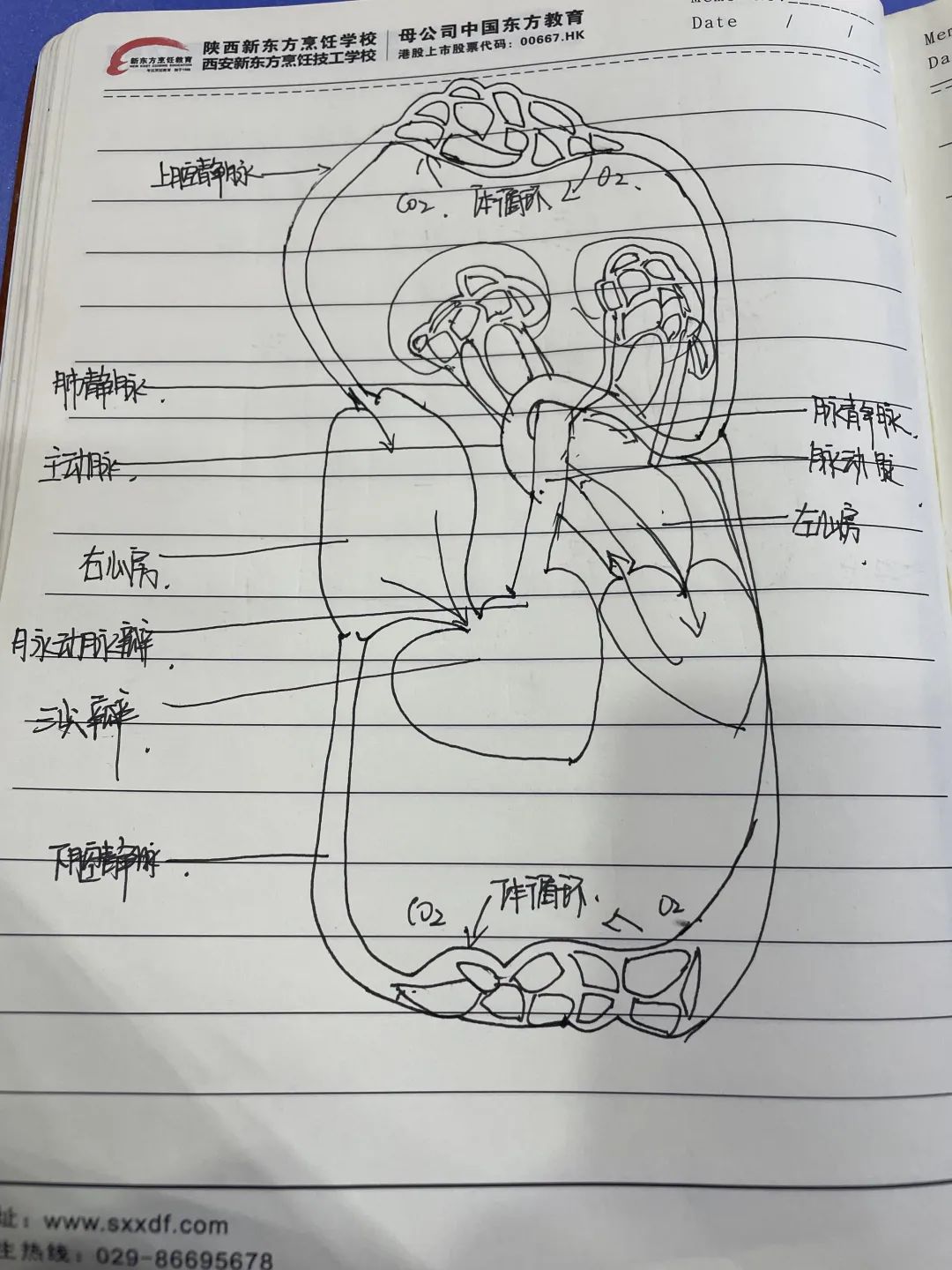 䡰Pӛl(f)nùPӛuxӽY(ji)ҕ