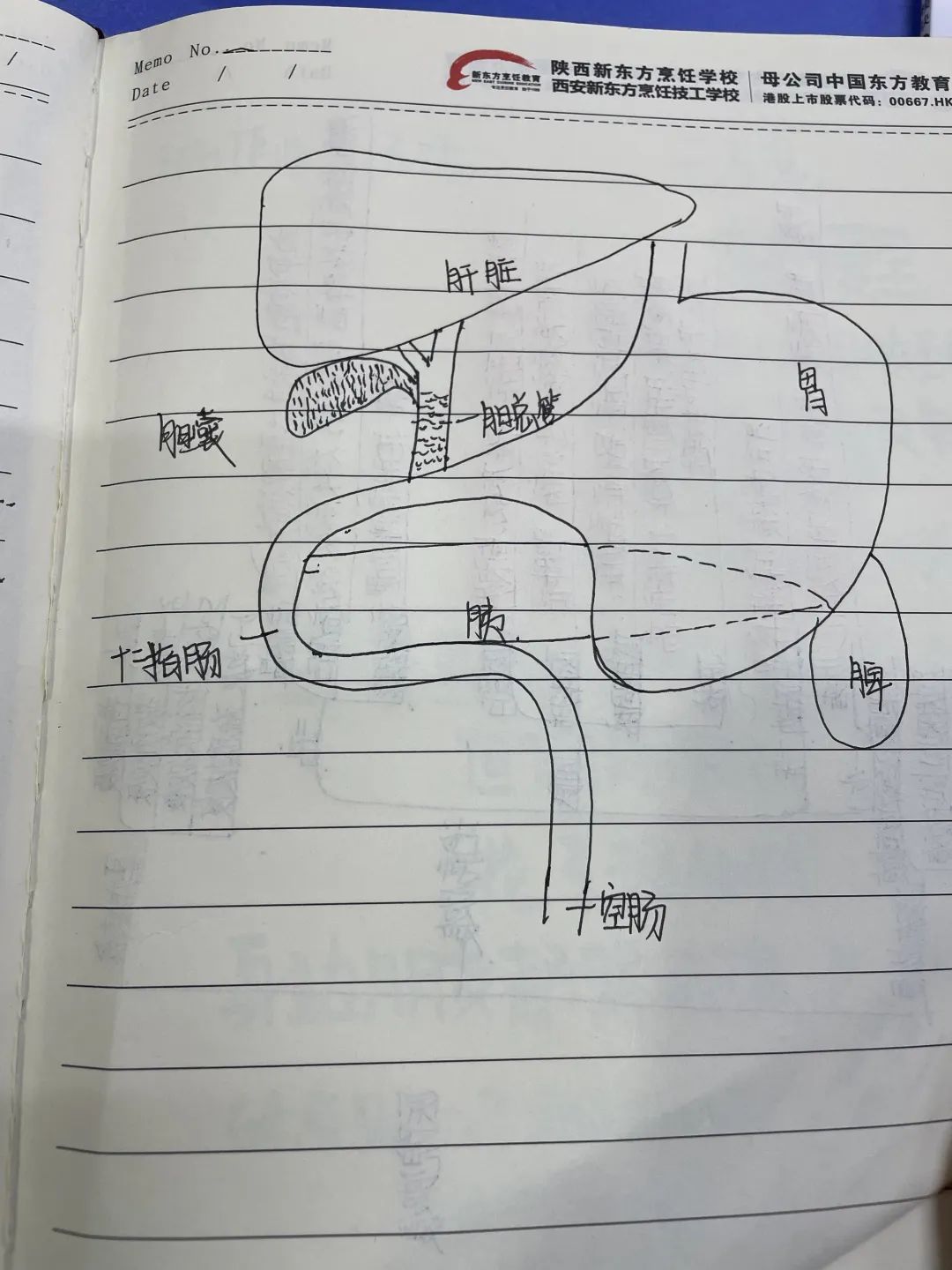 䡰Pӛl(f)nùPӛuxӽY(ji)ҕ