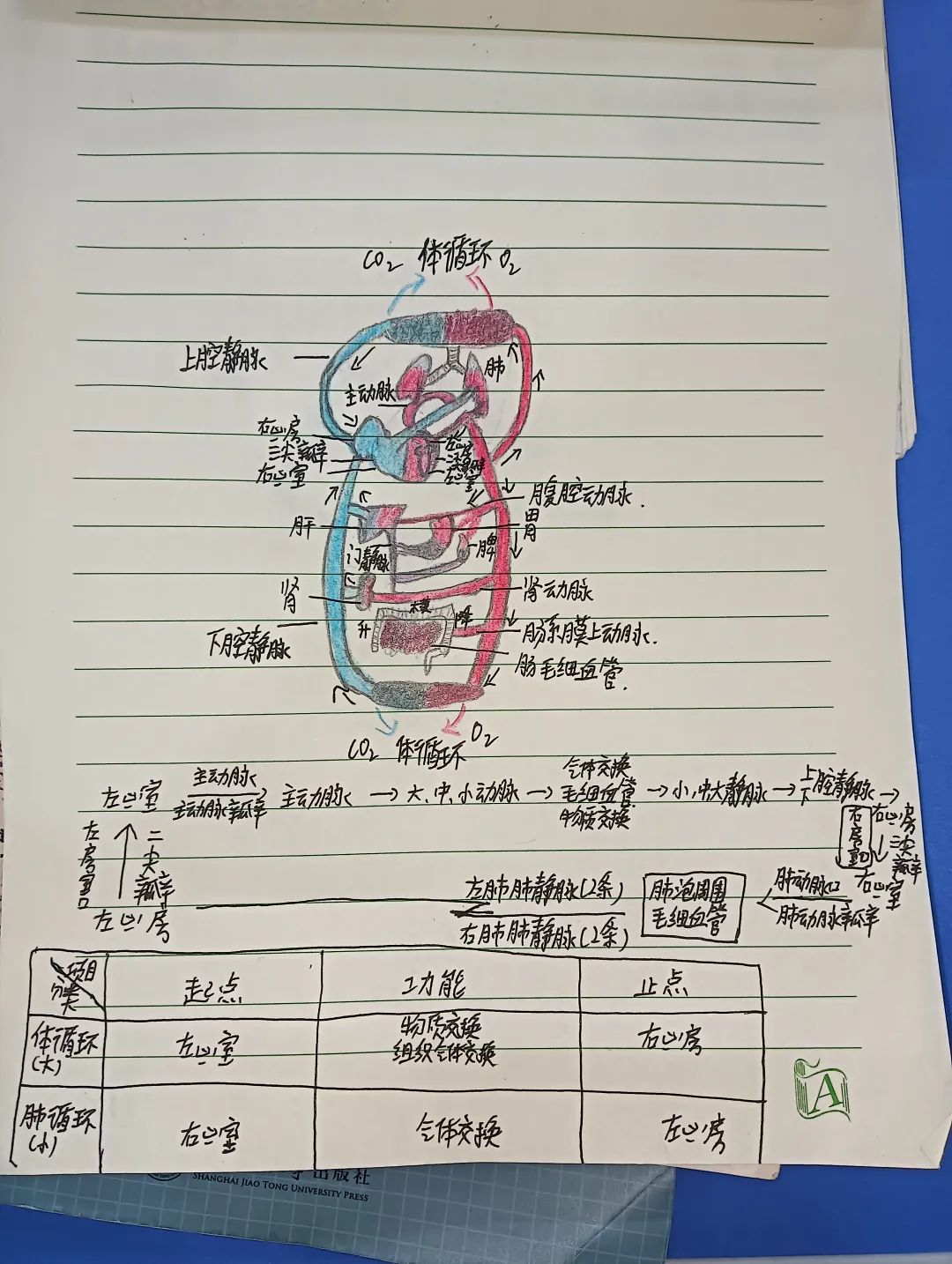 䡰Pӛl(f)nùPӛuxӽY(ji)ҕ